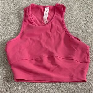 Gold hinge Pink Ribbed Crop Top